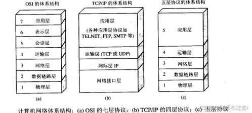 計算機網絡常見問題解析與開發技術探討