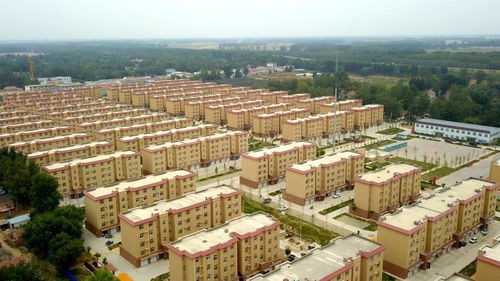 調(diào)控優(yōu)化與市場信心 國常會房地產(chǎn)新策的深意與現(xiàn)實(shí)路徑